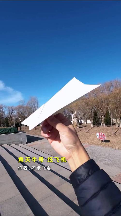 包含安卓手机怎么下载纸飞机中文版的词条