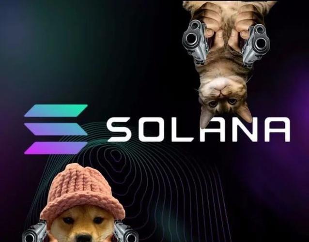 包含solana英文名寓意的词条