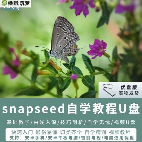 snapseed全套教程:snapseed教学视频教程