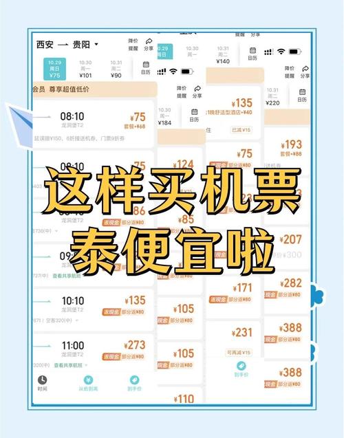 飞机号购买自助下单官网：高效便捷的机票预定攻略