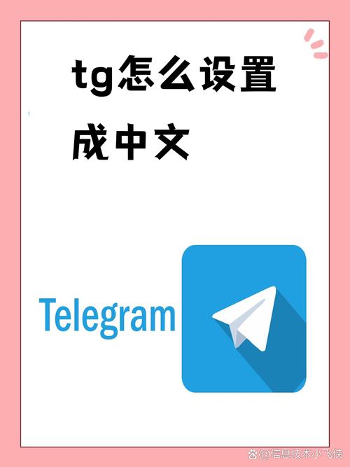 TG中文版下载手机版注册教程：简单快速的使用指南