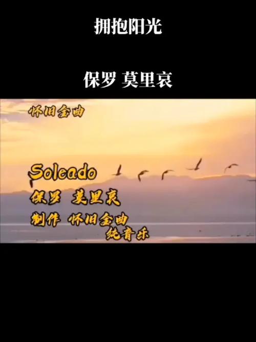 sole:solely