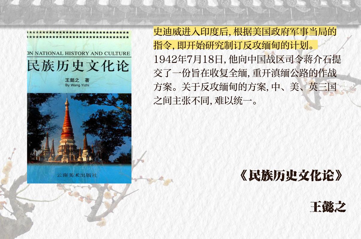 深入探讨阿亚库巧战役：历史背景、战略分析与影响