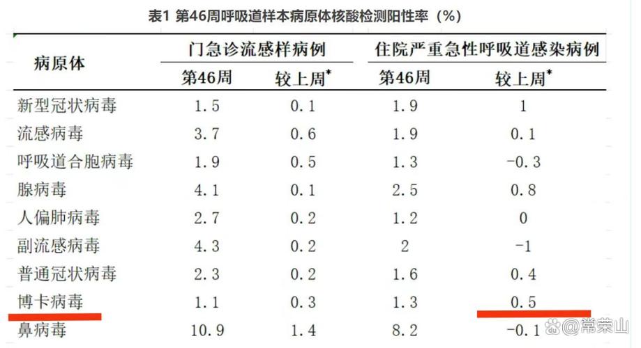 博卡病毒的传播途径与预防措施解析