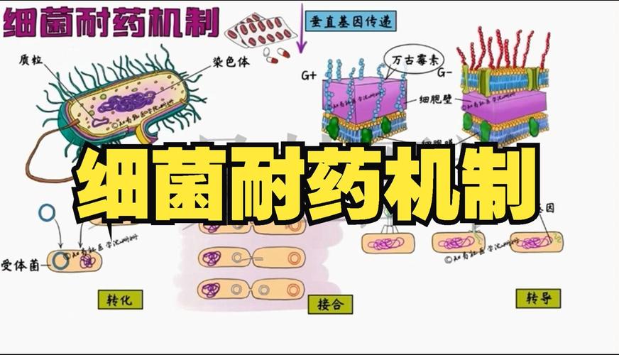 卡波姆为什么能杀菌消炎?深入解析其抗菌机制与应用