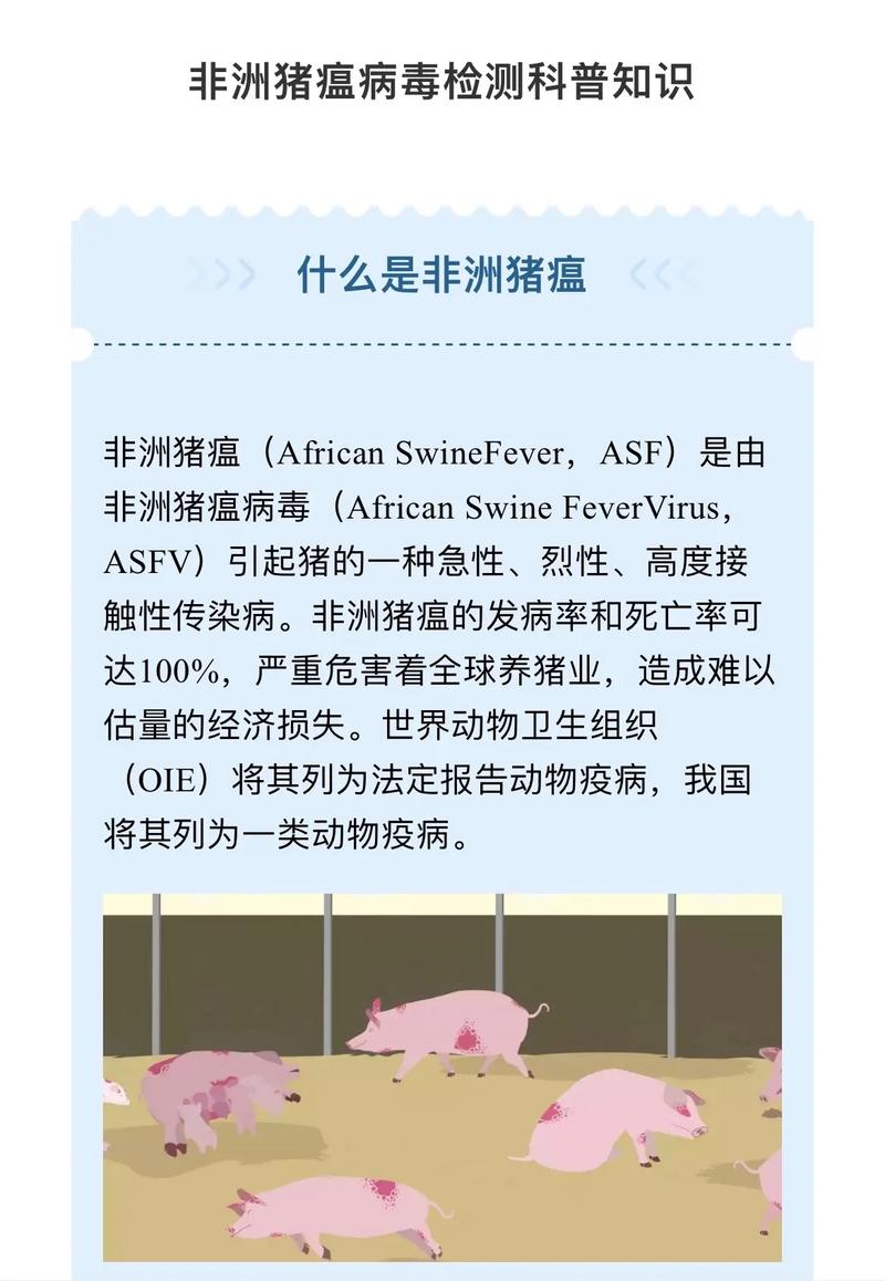 猪的ped是什么意思:猪检测ped阳性什么意思