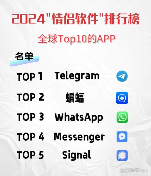 Telegram代替应用：安全与便捷的沟通选择