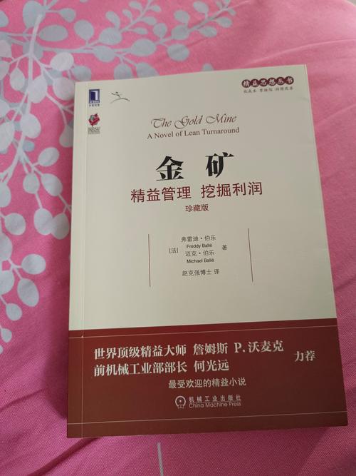 黄金矿工:黄金矿工小说
