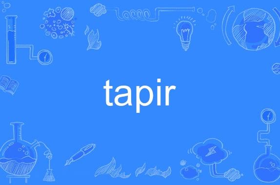 taptap怎么读:taptap怎么读出来