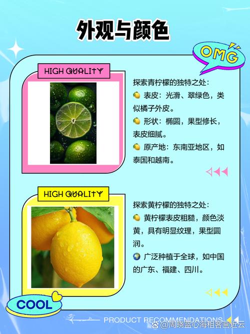 lime是酸橙还是青柠:lime是酸橙还是青柠英文怎么读