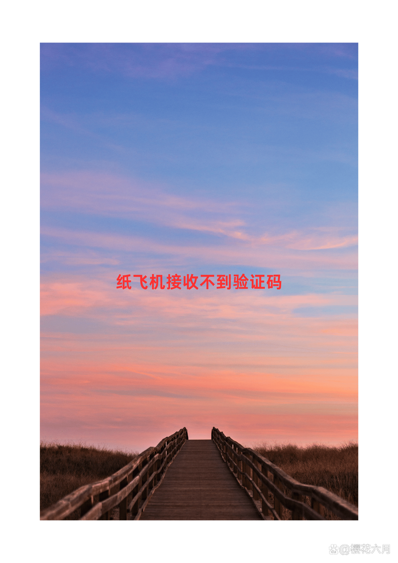 安卓怎么安装纸上飞机:安卓手机怎么安装纸飞机