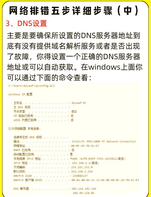 Zalo连不上怎么办？全面解析与解决方案