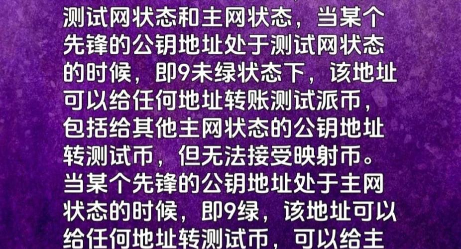 马云说派币一定成功：探索加密货币的未来潜力与市场定位