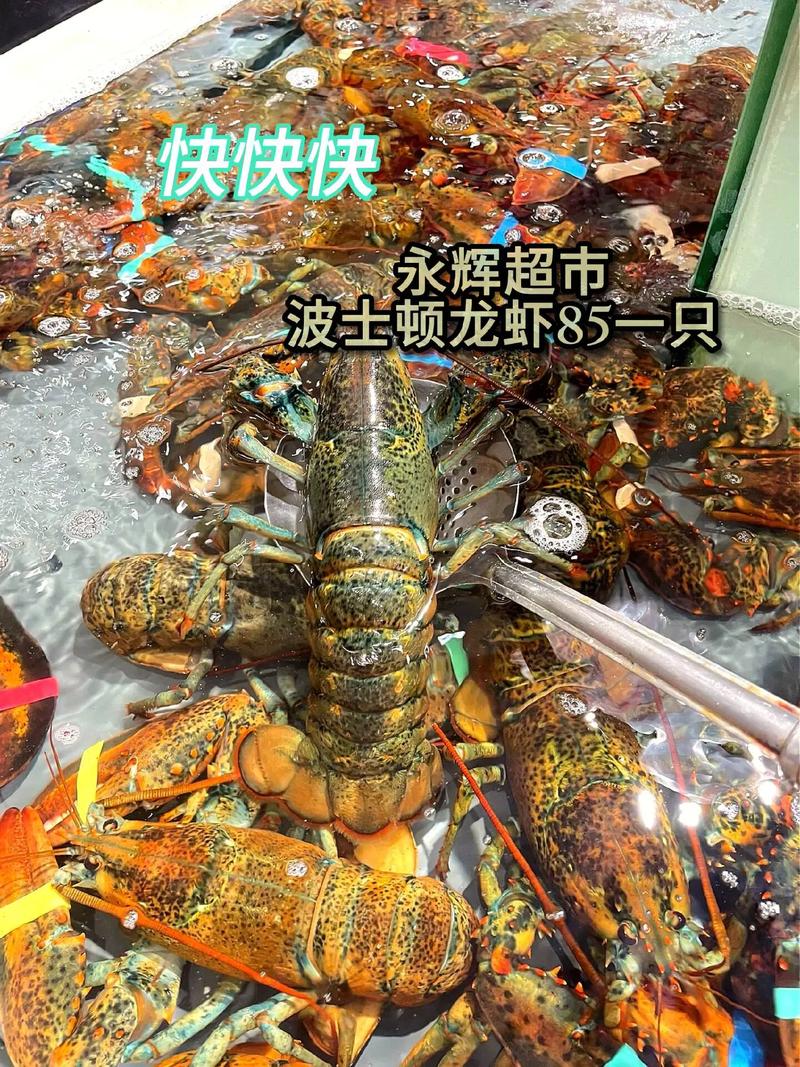 波士顿多少钱一斤:波士顿多少钱一斤市场价2024