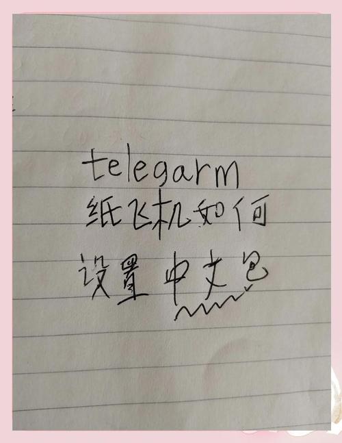 纸飞机中文插件设置:纸飞机如何设置中文版本