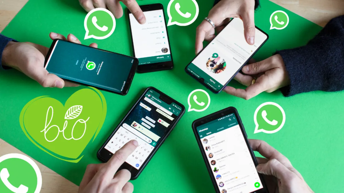 whatsapp官网入口-whatsappvomdl