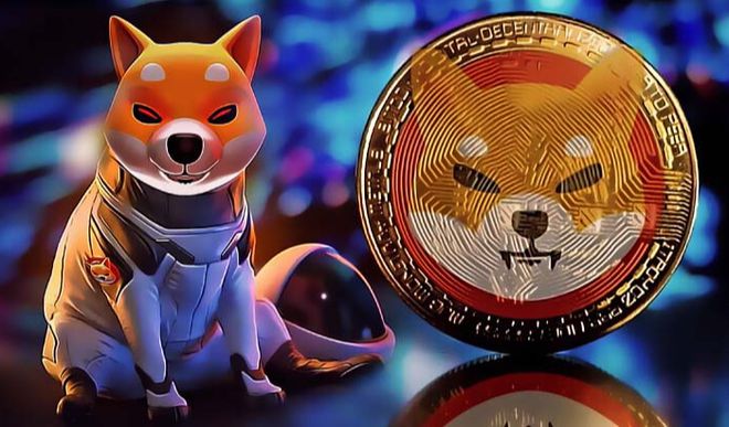 doge币最新消息-aidoge币最新消息