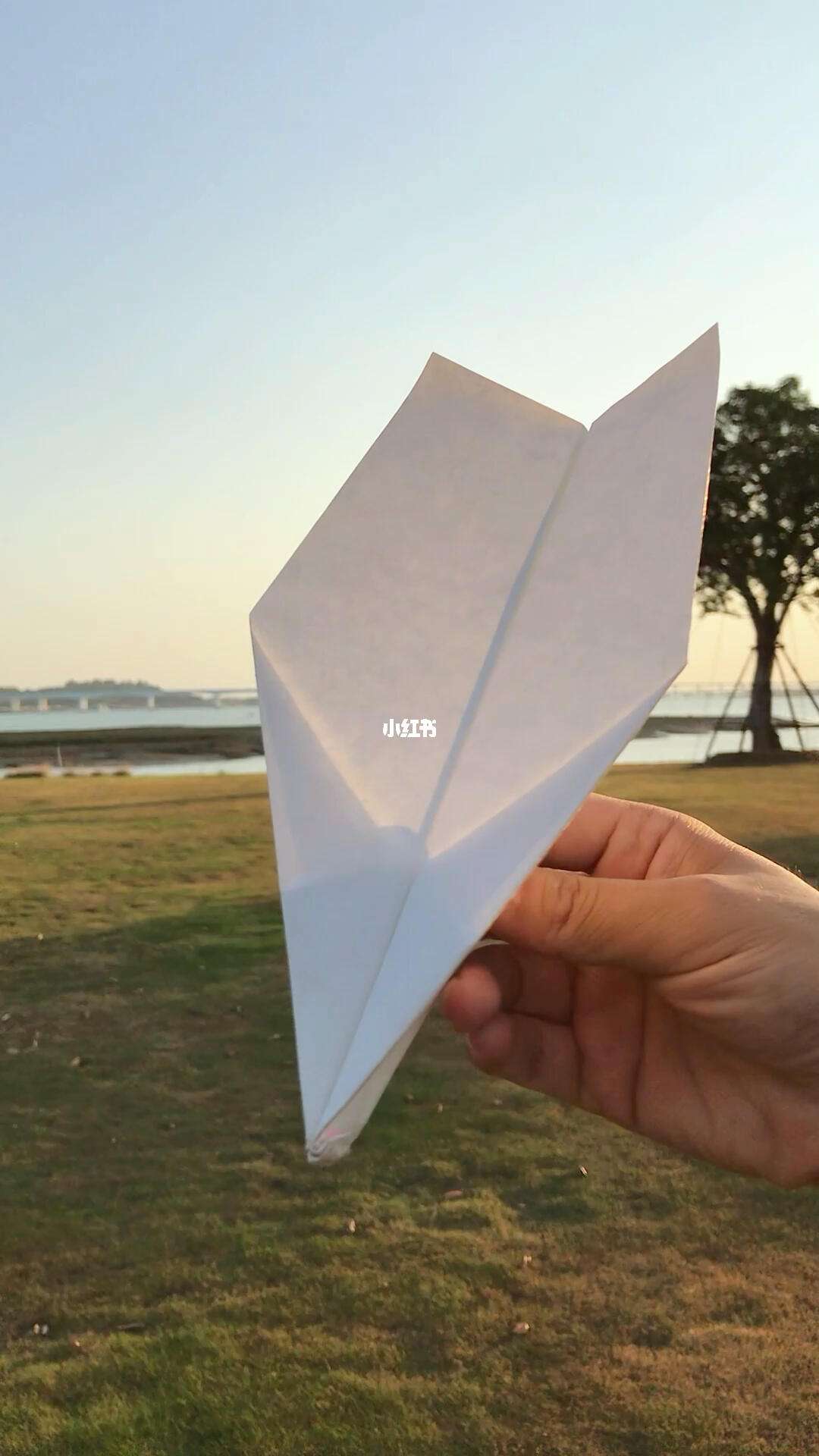 纸飞机登录说尝试太多次-纸飞机登陆一直显示检查网络