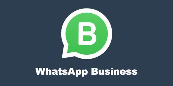 whatsapp官网免费下载最新版-whatsapp官方网下载最新版2021