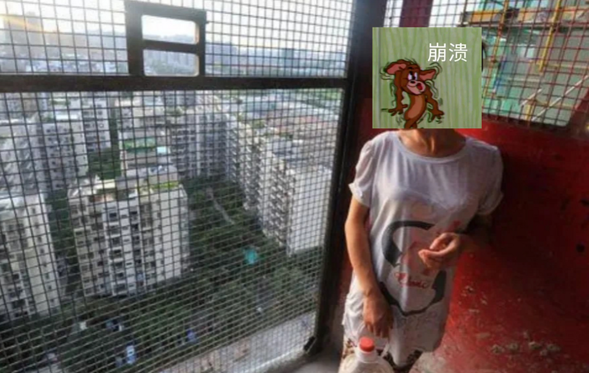 苹果手机梯子是什么意思-iphone梯子是什么意思