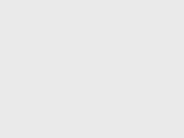 关于telegramforwindows的信息