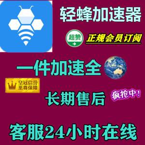 包含轻蜂加速器多少钱一个月的词条
