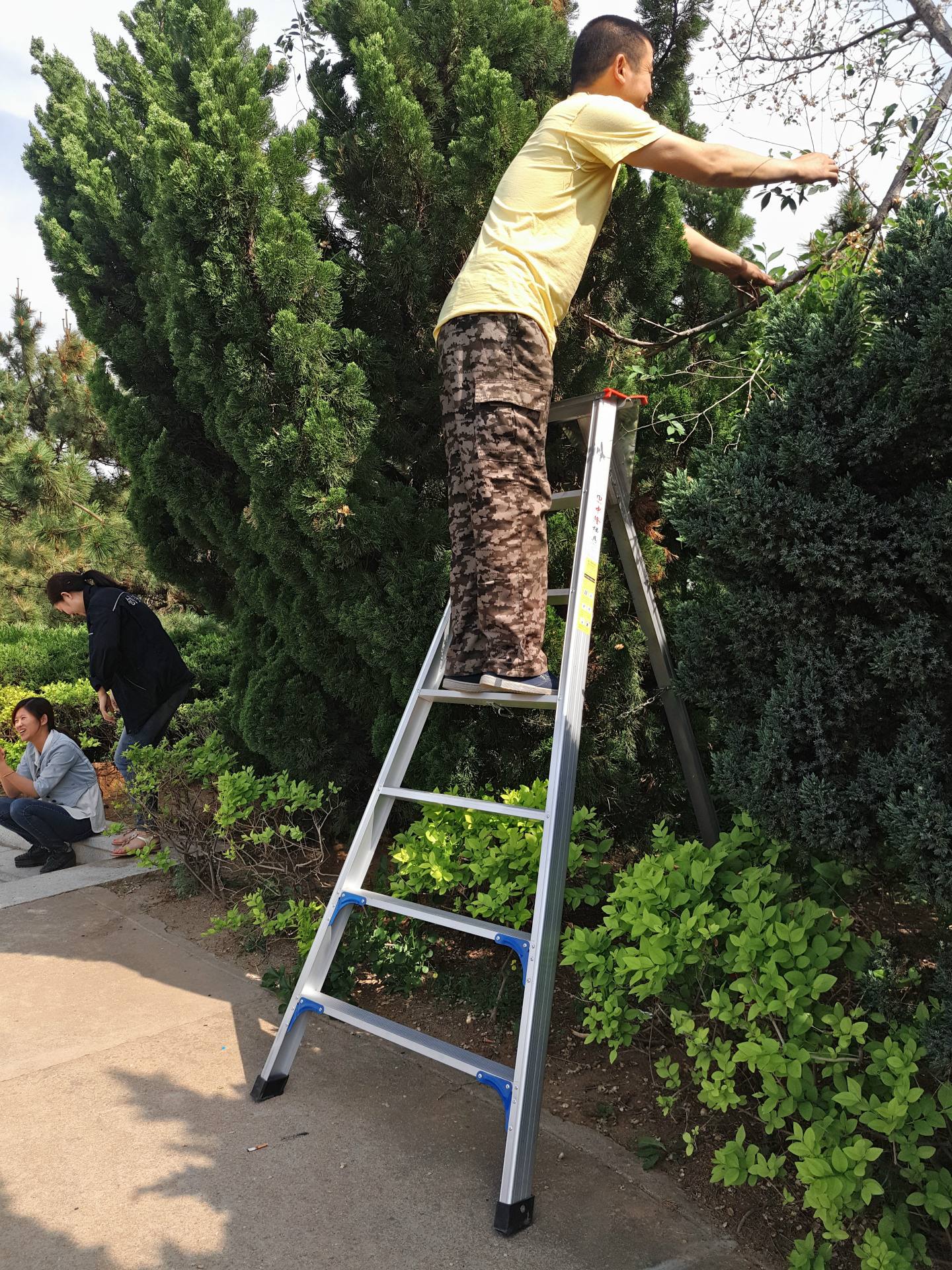 苹果还有什么梯子可用-苹果手机还有什么能用的梯子