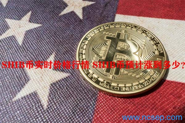 shib-shib币价格今日行情价格 shib-shib币价格今日行情价格