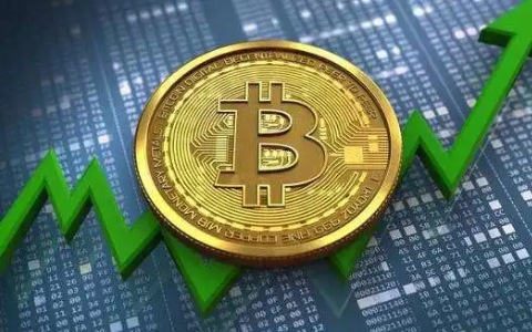 比特币为什么被下载禁止-比特币为什么被下载禁止交易