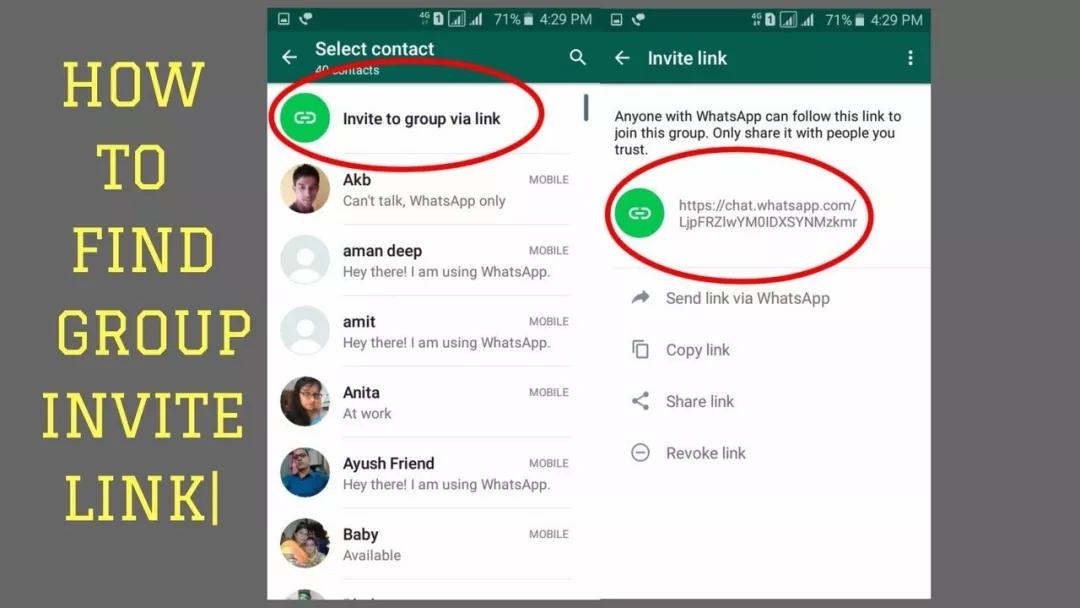 whatsapp下载安卓-whatsapp下载安卓新版Store