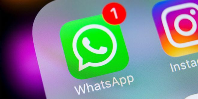 whatsappandroid的简单介绍