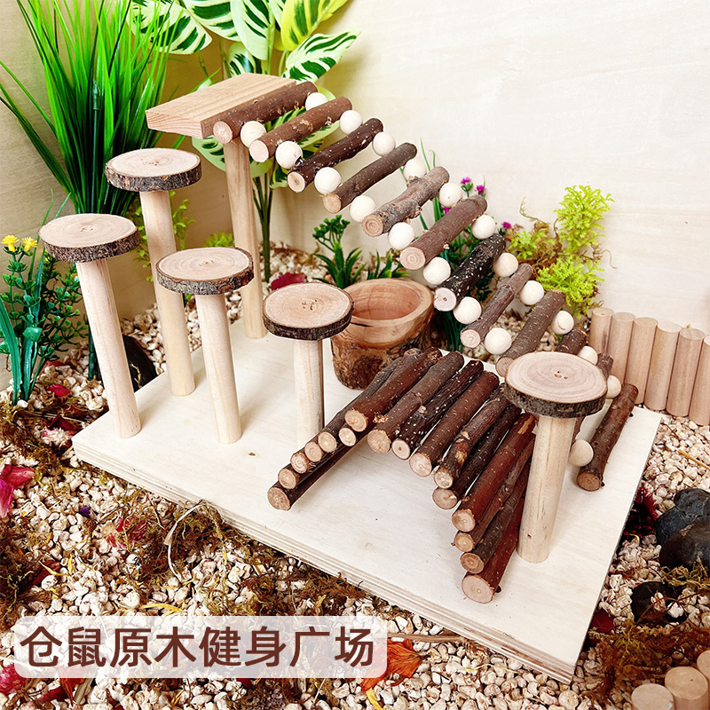 苹果梯子哪个好用-苹果梯子哪个好用最新