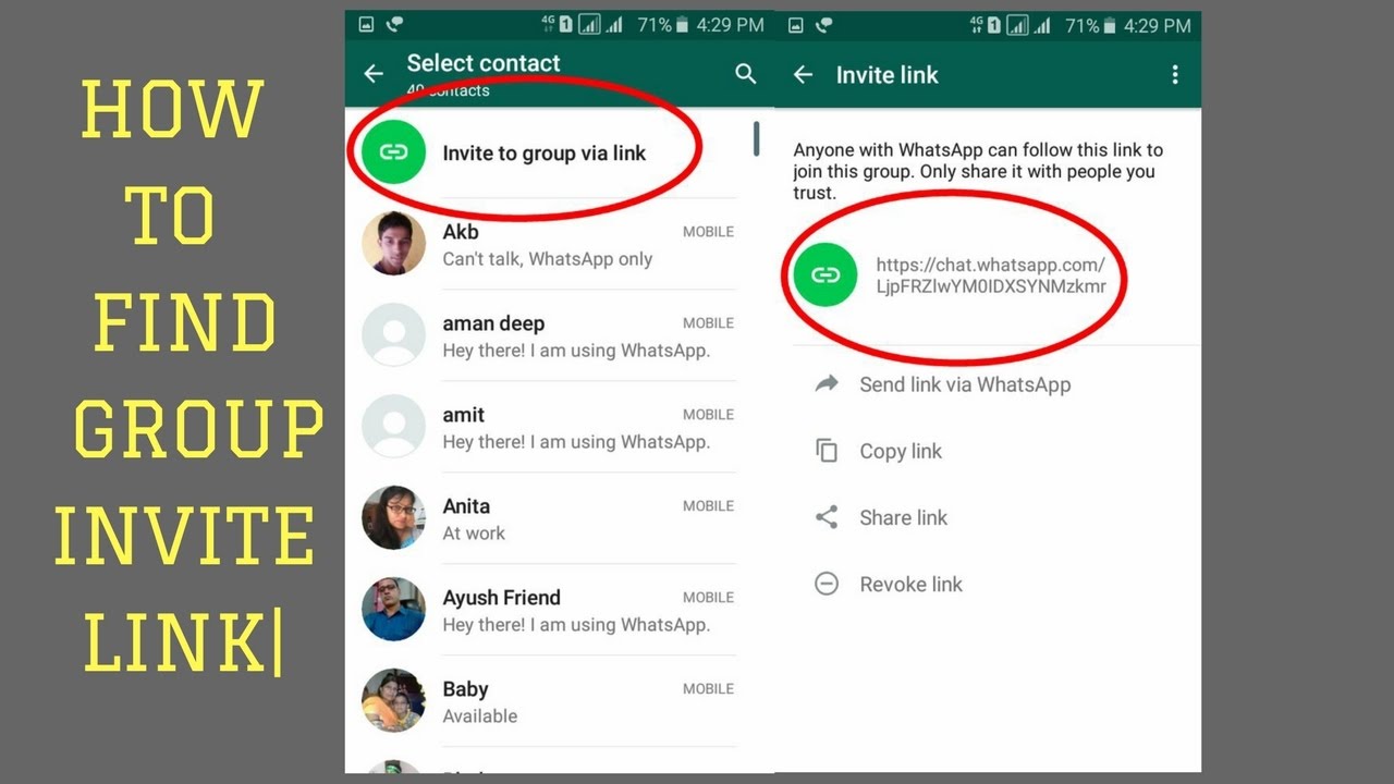 whatsapp官网手机版下载最新-whatsapp官方网下载安卓2020手机版