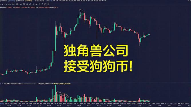 狗狗币钱包4.0-狗狗币钱包dogecoin