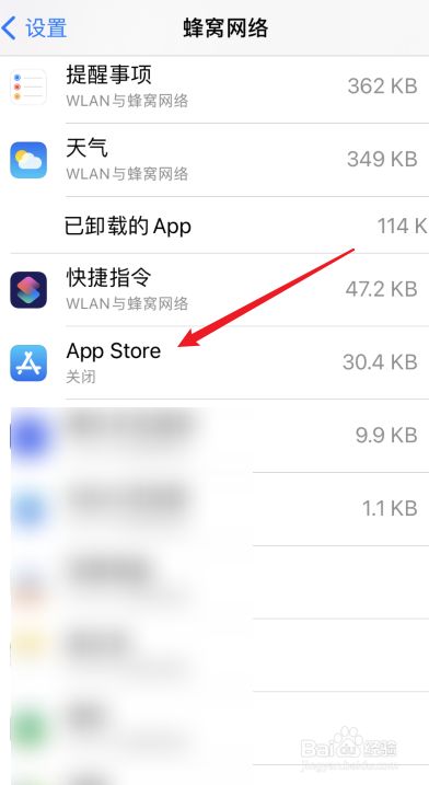 苹果手机的梯子软件是什么-苹果手机的梯子软件是什么软件
