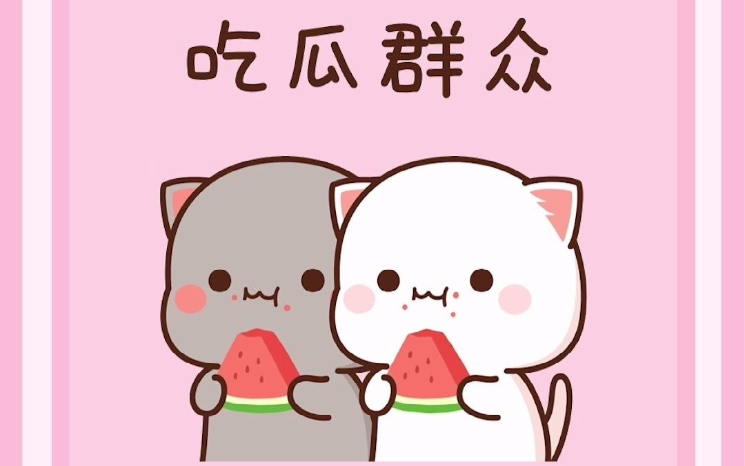 密聊猫最新版本-mcall密聊下载