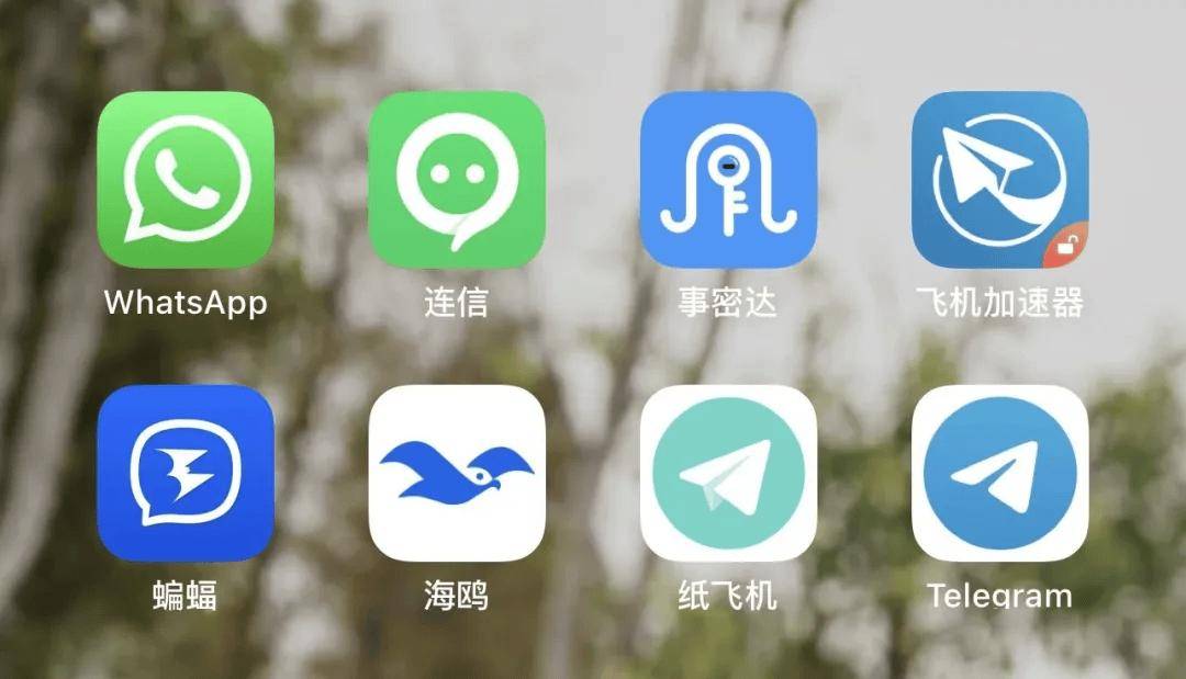 飞机加速器官网-飞机加速器官网 安卓vp