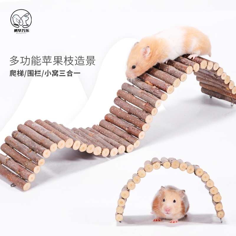 iPhone怎么用梯子，iPhone怎么用梯子上外网