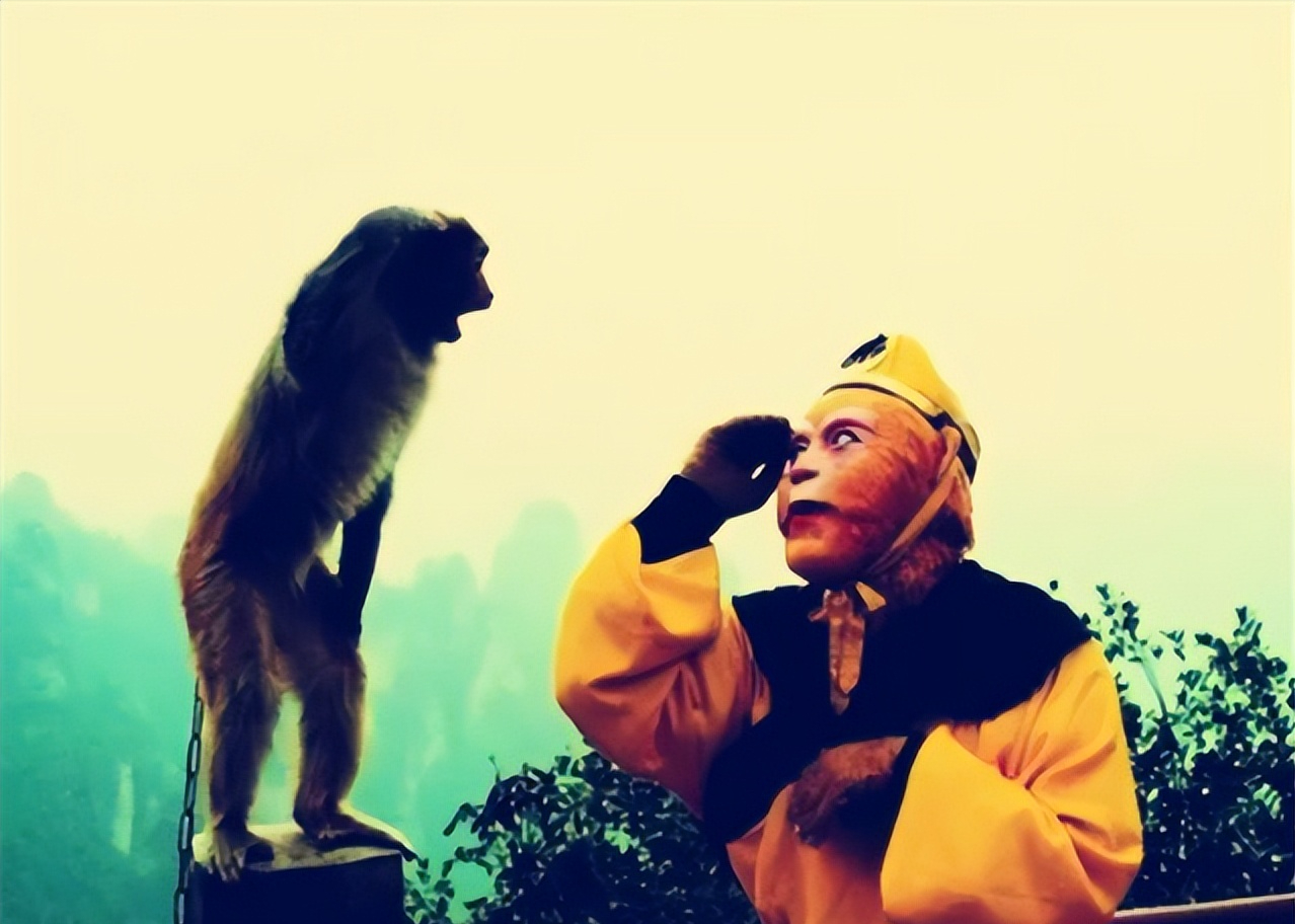 关于电报猴出自西游记哪一期的信息