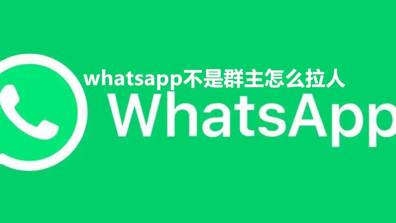 whatsapp添加,whatsapp添加好友教程 whatsapp添加,whatsapp添加好友教程