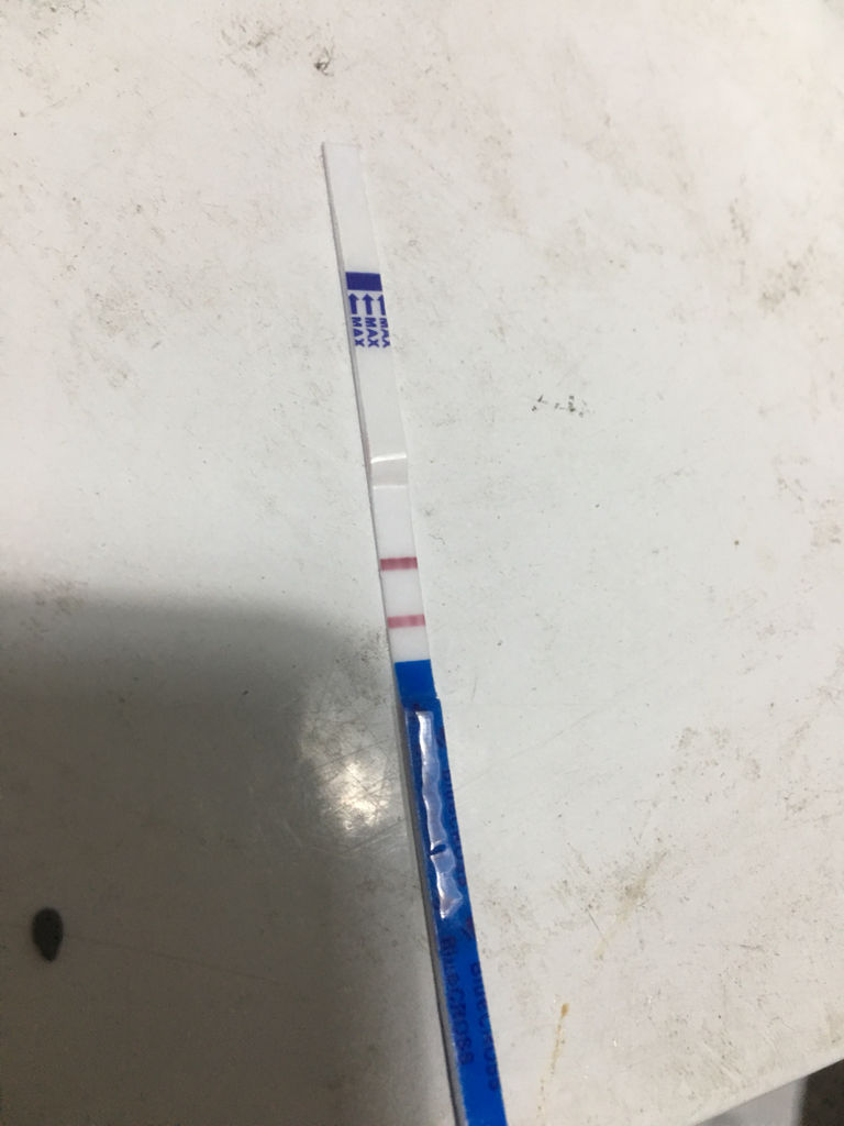 c一条杠t没有杠，c一道杠表示什么意思