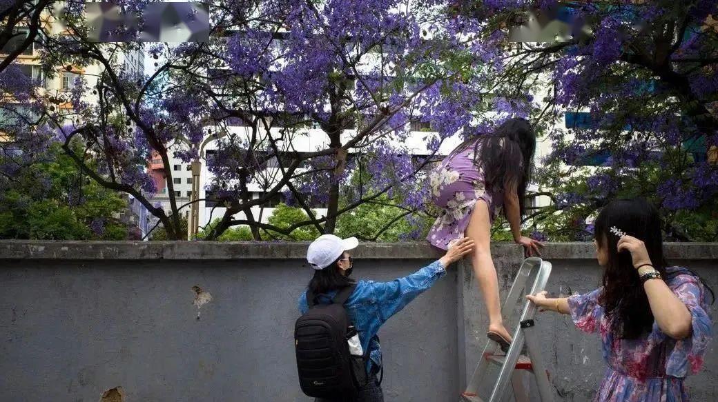 pc梯子怎么用爬墙,pc端的梯子什么意思 pc梯子怎么用爬墙,pc端的梯子什么意思