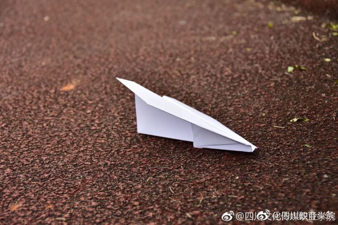 纸飞机的用户名在哪看，纸飞机怎么用用户名加人