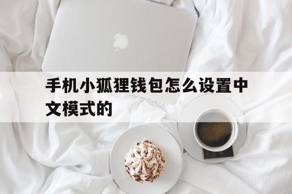 手机小狐狸钱包怎么设置中文模式的-手机小狐狸钱包怎么设置中文模式的图片