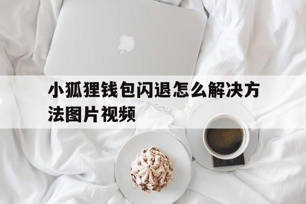 小狐狸钱包闪退怎么解决方法图片视频-小狐狸钱包闪退怎么解决方法图片视频教程