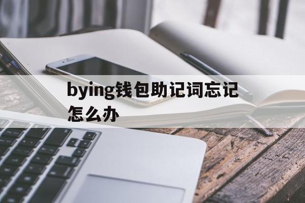 bying钱包助记词忘记怎么办的简单介绍