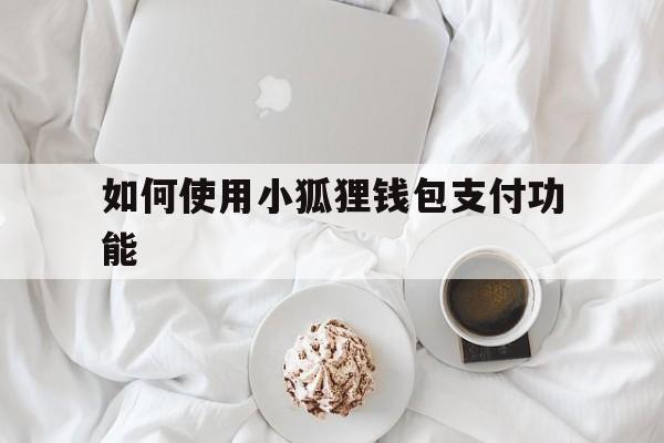 如何使用小狐狸钱包支付功能-如何使用小狐狸钱包支付功能设置