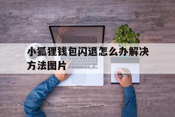 小狐狸钱包闪退怎么办解决方法图片-小狐狸钱包闪退怎么办解决方法图片视频