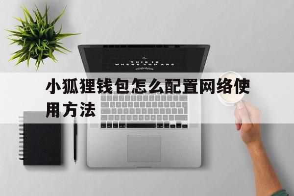 小狐狸钱包怎么配置网络使用方法-小狐狸钱包怎么配置网络使用方法视频