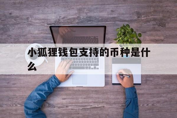 小狐狸钱包支持的币种是什么-小狐狸钱包支持的币种是什么意思
